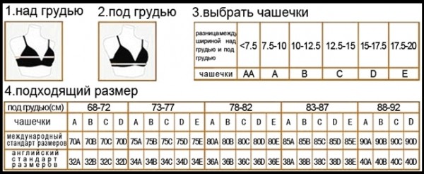 таблица женских размеров белья чашечки